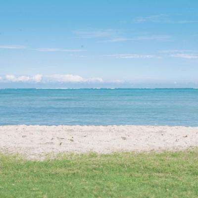 bob体肓官方网站