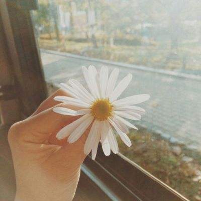 BOB·体育综合APP下载截图