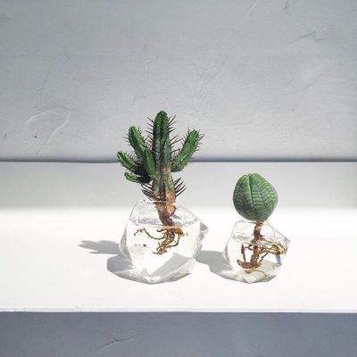 BSportAPP在线登录